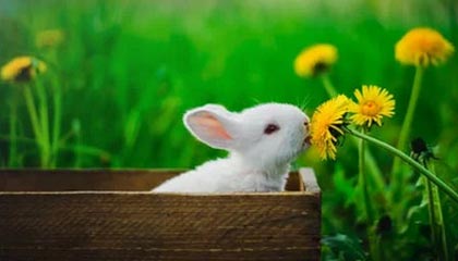 17173新游期待榜：《王者荣耀》迎十周年 IP全新作品公开